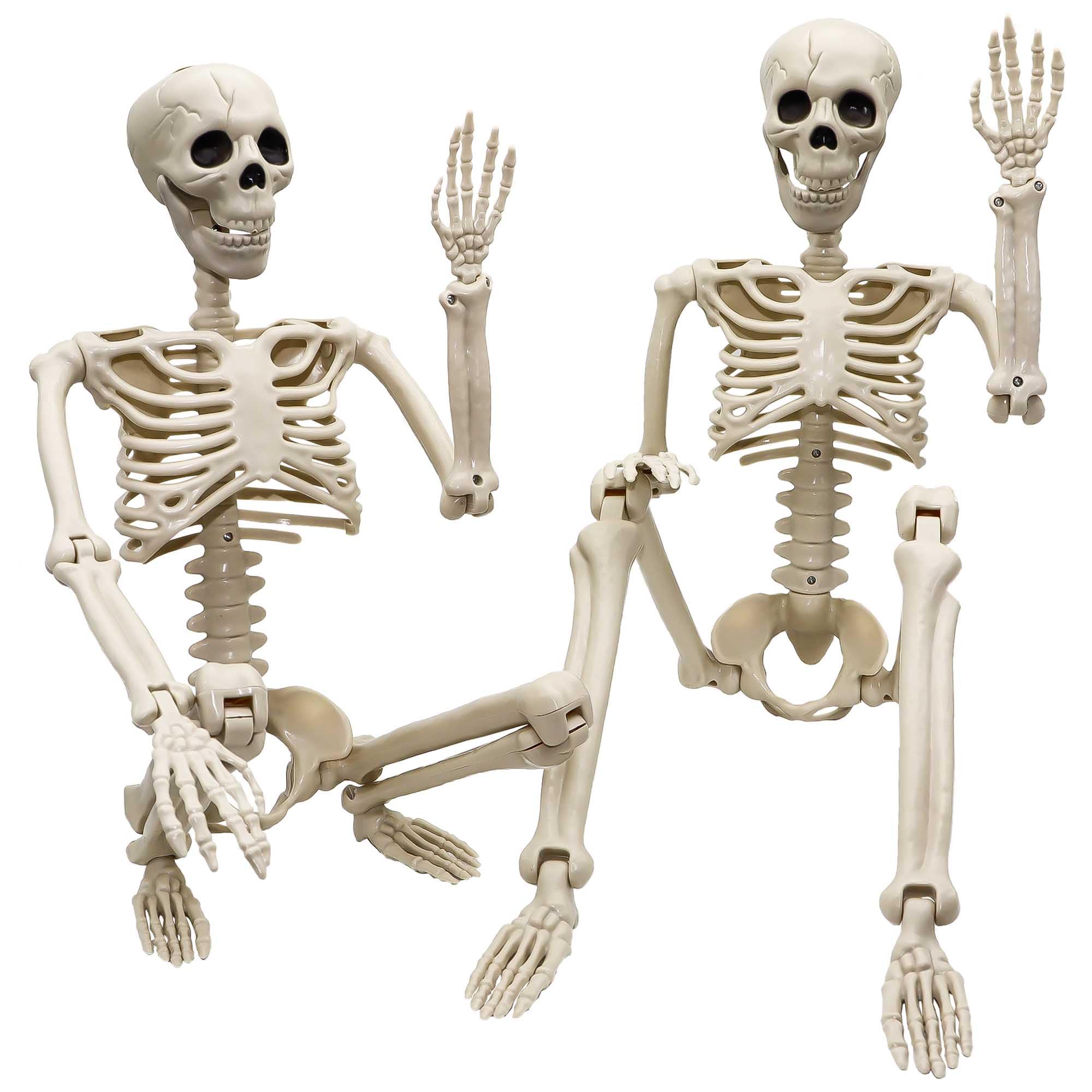 2-Pack 36-Inch Halloween Skeletons