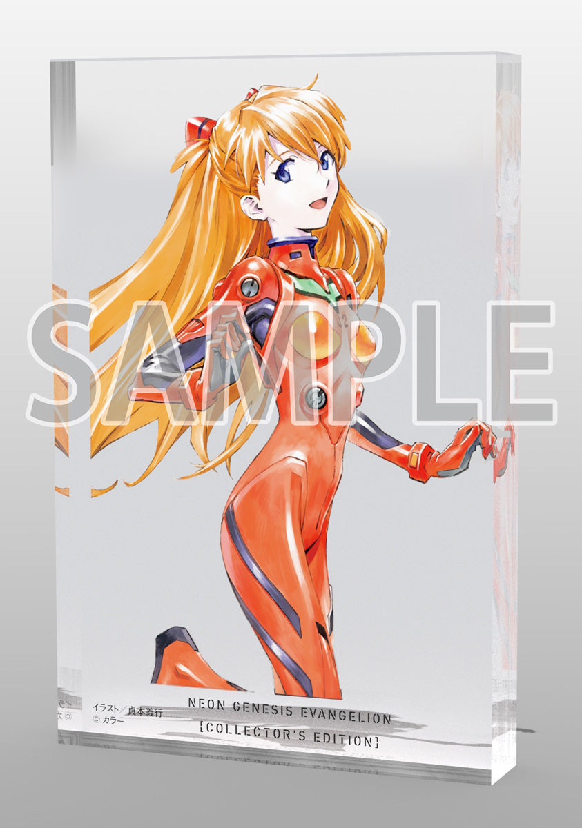 Neon Genesis Evangelion Asuka & Ayanami Rei 1/7 Scale Figure Set - Pre-Order