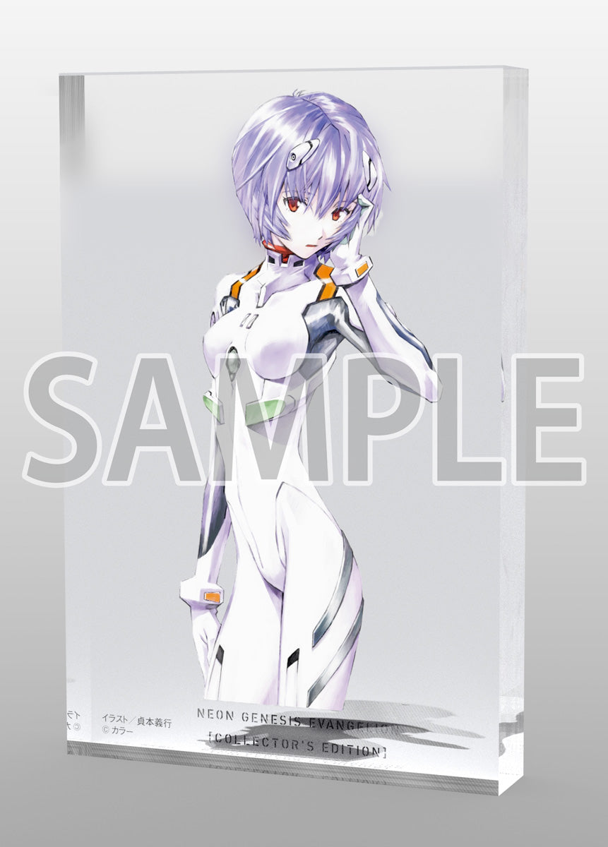 Neon Genesis Evangelion Asuka & Ayanami Rei 1/7 Scale Figure Set - Pre-Order